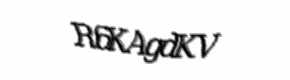 Security check image, please type the characters shown